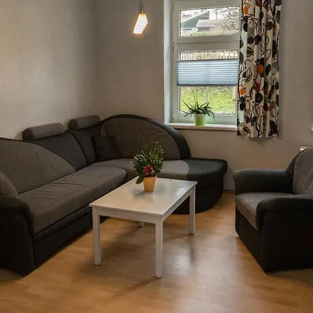 Ferienwohnung Otto Klingenthal Buitenkant foto