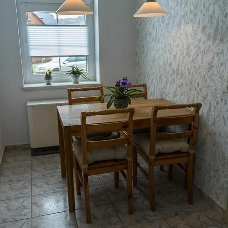 Ferienwohnung Otto Klingenthal Buitenkant foto